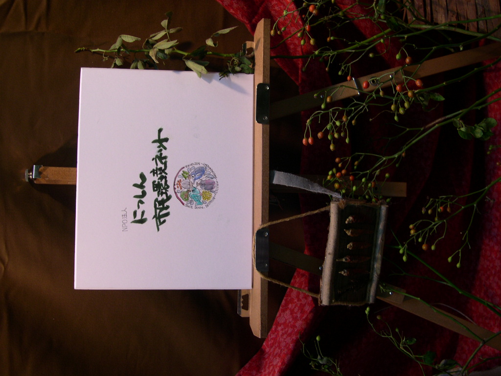 DSCN3212.JPG