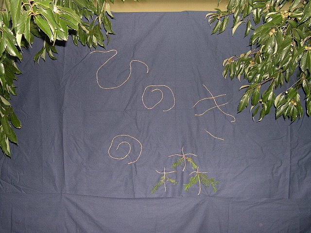 DSCN3226.JPG