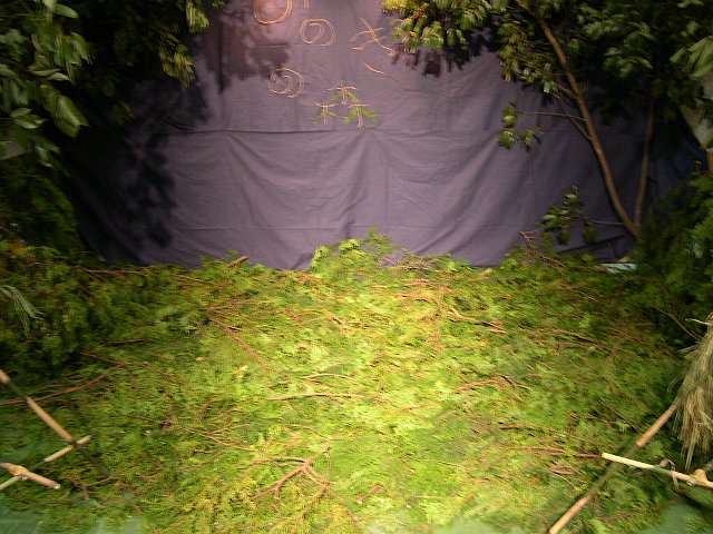 DSCN3260.JPG